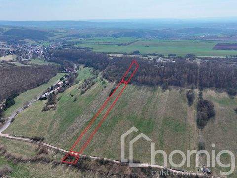 Sangerhausen Bauernhöfe, Landwirtschaft, Sangerhausen Forstwirtschaft