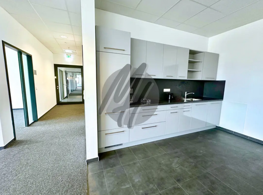 INFOS UNTER: 06171-586000