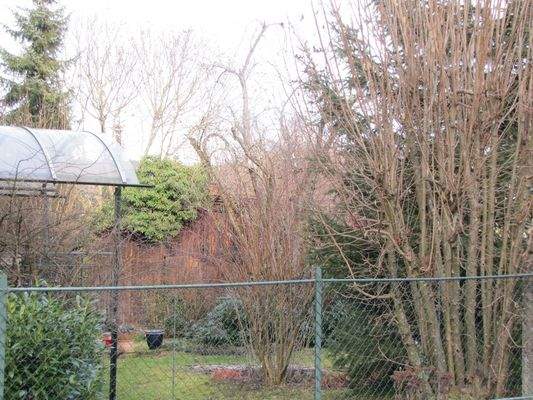 Der eingewachsene Garten