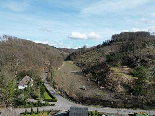 Ausblick vom Baugrundstück.JPG