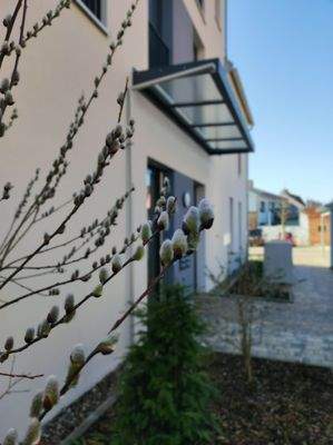 Frühling in Gochsheim 