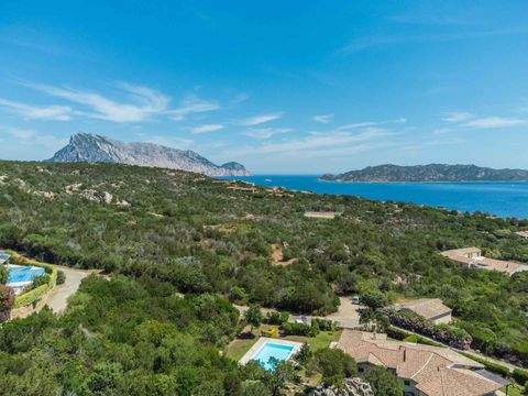 Punta Molara Häuser, Punta Molara Haus kaufen