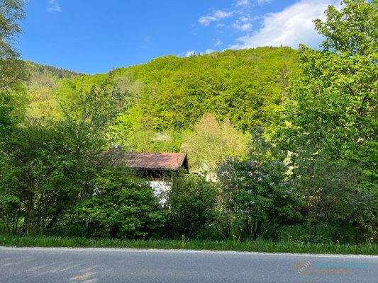 Blick auf das Grundstück von der Straße aus