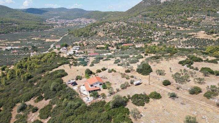 225b579f62e64f979685d8193ea48643-original