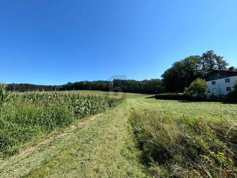 Feldkirchen bei Mattighofen Grundstücke, Feldkirchen bei Mattighofen Grundstück kaufen