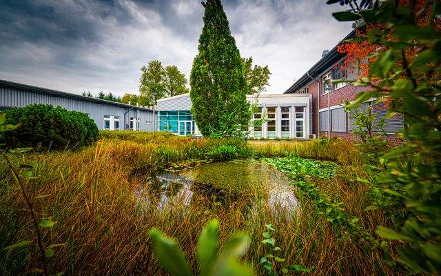 Außenbereich C Konferenzraum, Teich_ 2020-10-14 GI