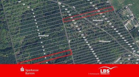 Chorin Bauernhöfe, Landwirtschaft, Chorin Forstwirtschaft
