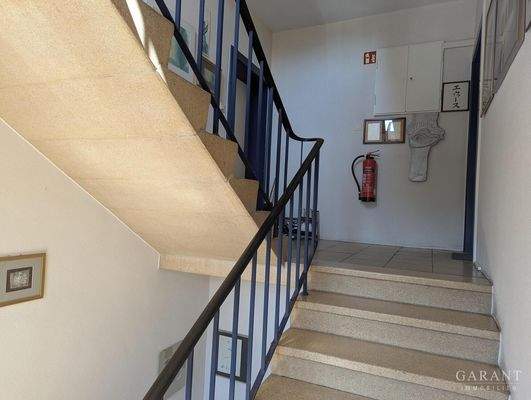 PXL 20250704 135444970