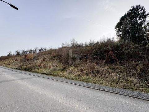 Welschbillig Grundstücke, Welschbillig Grundstück kaufen