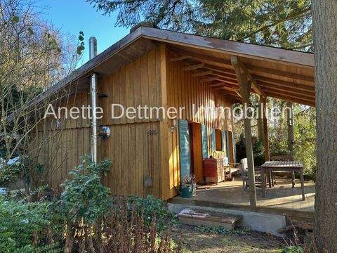 Delligsen / Hohenbüchen Häuser, Delligsen / Hohenbüchen Haus kaufen