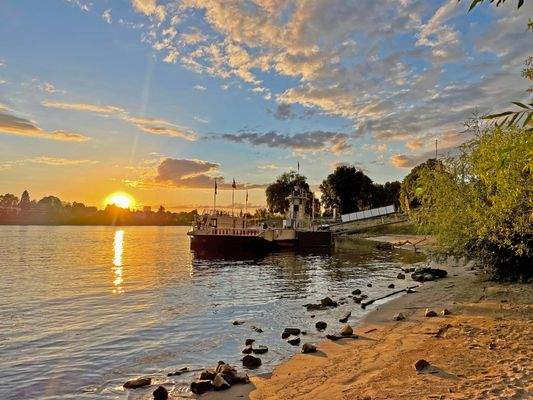 Fähre Niederdollendorf