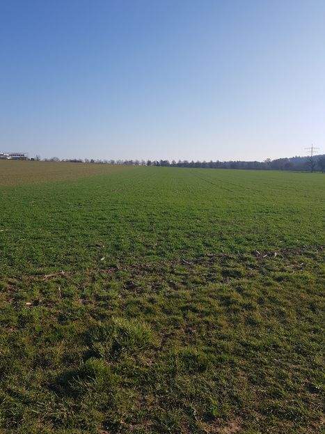 Leinfelden-Echterdingen Bauernhöfe, Landwirtschaft, Leinfelden-Echterdingen Forstwirtschaft