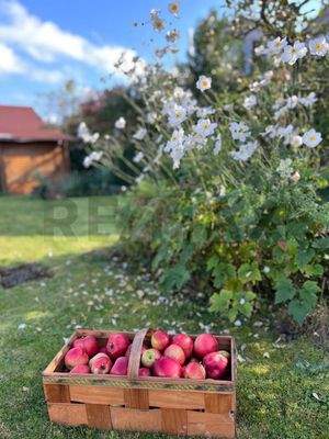 Impression im Frühling