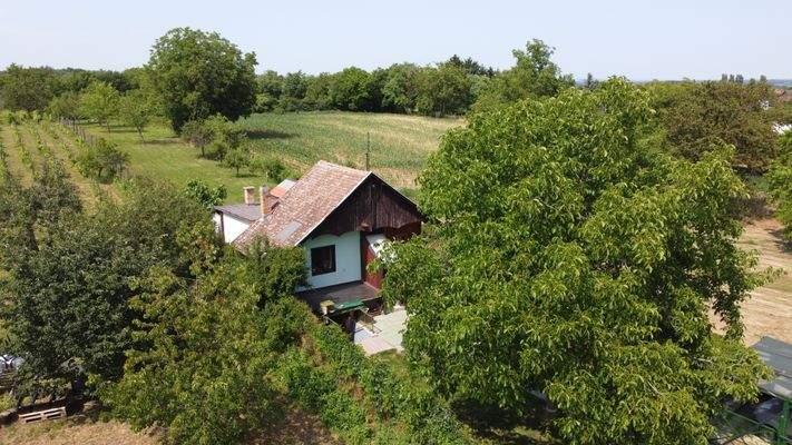 DJI_0151.JPG