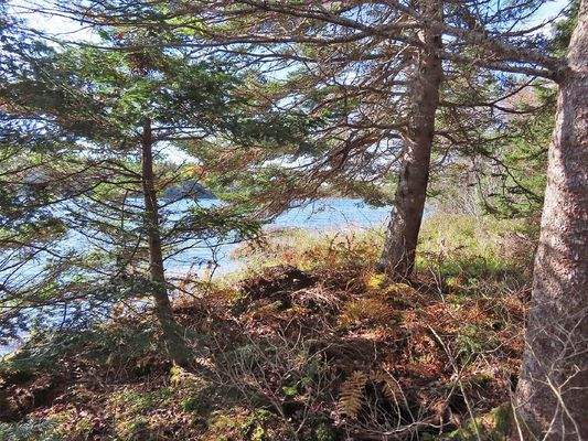 Cape Breton - 3,1 Hektar großes See-Ufergrundstück