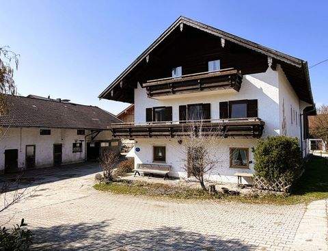 Obing Häuser, Obing Haus kaufen