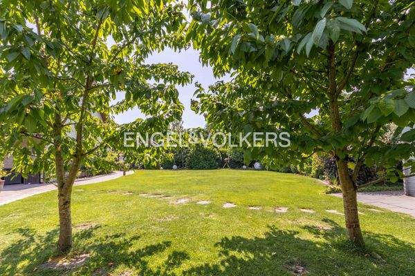 Ein Blick durch die Obstbäume in den Garten