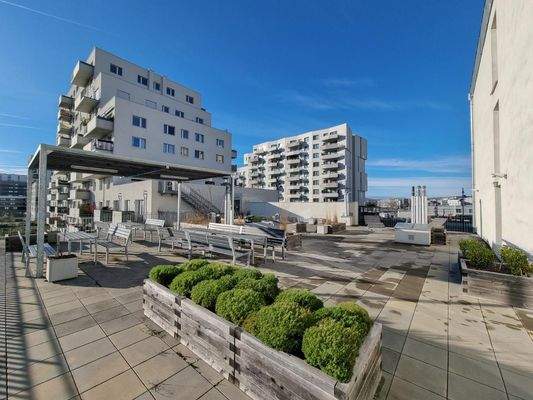 26_Gemeinschaftsdachterrasse