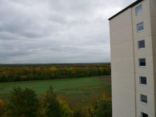 Falkenhorst 80014.jpg