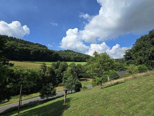 Blick vom Gartenhaus