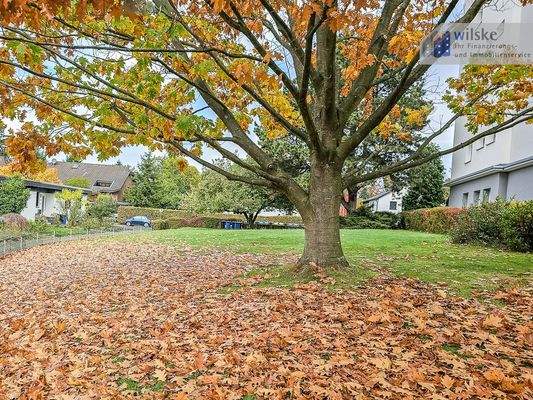 Grünanlage (1)