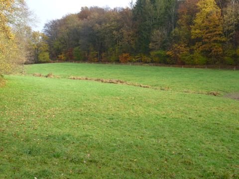 Waldbröl Bauernhöfe, Landwirtschaft, Waldbröl Forstwirtschaft