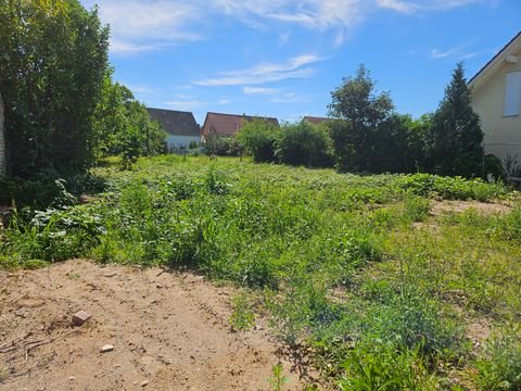 Linkenheim-Hochstetten Grundstücke, Linkenheim-Hochstetten Grundstück kaufen