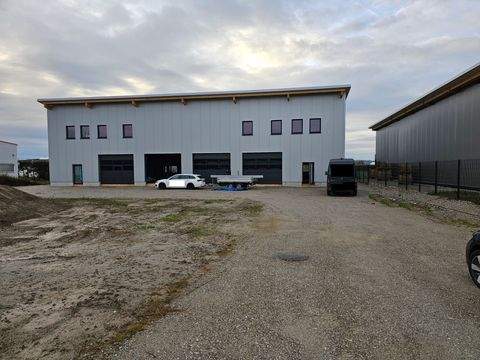 Ampfing Halle, Ampfing Hallenfläche