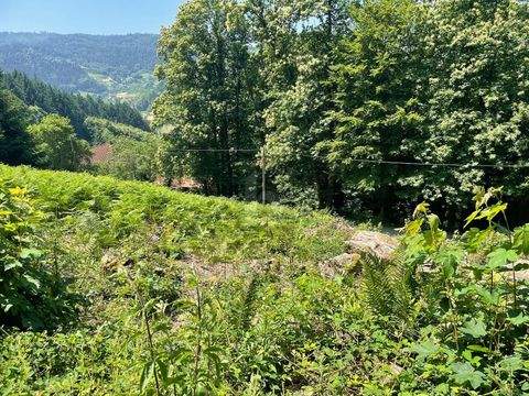 Ottenhöfen im Schwarzwald Grundstücke, Ottenhöfen im Schwarzwald Grundstück kaufen