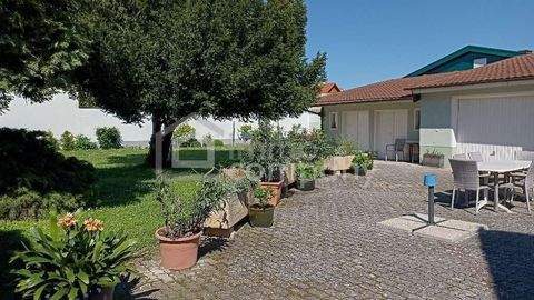 Oggau am Neusiedler See Häuser, Oggau am Neusiedler See Haus kaufen