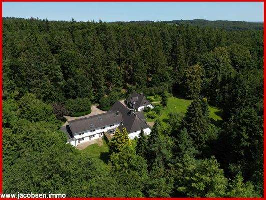 Westansicht/eine Insel im Wald