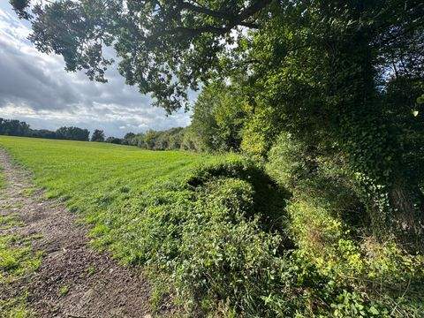 Westerau Grundstücke, Westerau Grundstück kaufen