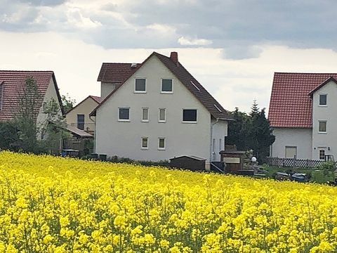 Grimma Wohnungen, Grimma Wohnung mieten