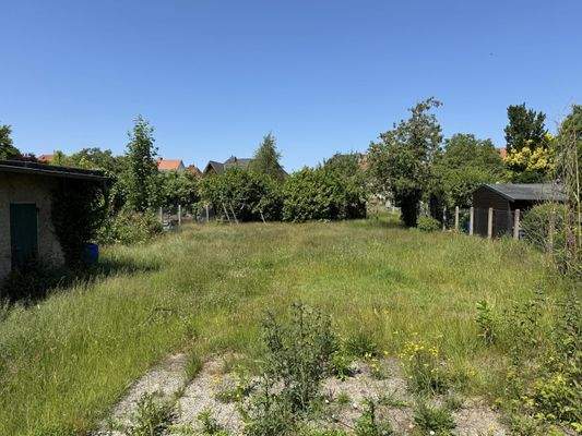 Terrasse / Gartenansicht
