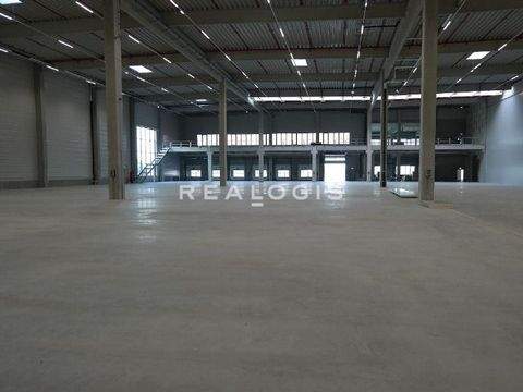 Bischofsheim Halle, Bischofsheim Hallenfläche