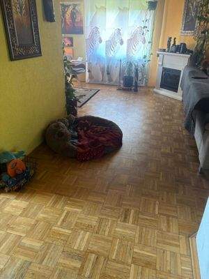 WhatsApp Bild 2025-06-16 um 15.38.52_d046cda0