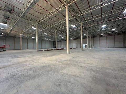 Ibbenbüren Halle, Ibbenbüren Hallenfläche