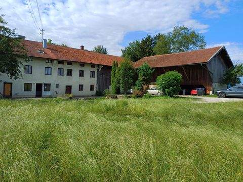 Großkarolinenfeld Bauernhöfe, Landwirtschaft, Großkarolinenfeld Forstwirtschaft