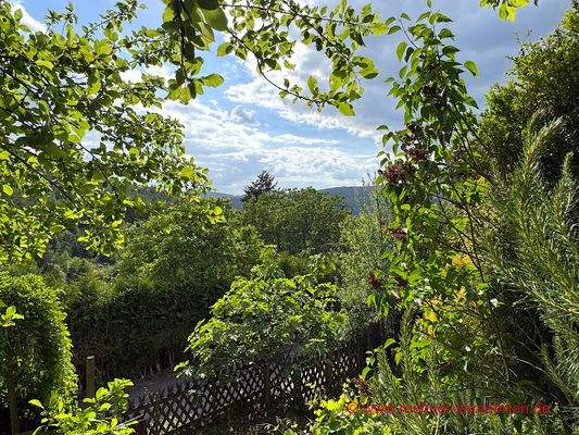 Gartenausblick