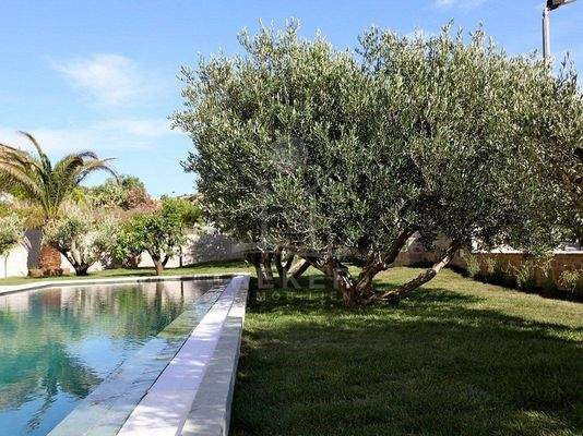 Sorgenfreie Harmonie im herrlichen Pool