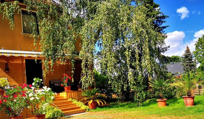 Blick auf die Terrasse im Sommer