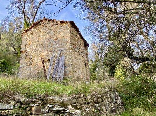 DA812_01 TERRA ITALIA IMMOBILIEN_LIGURIEN_DOLCEACQ