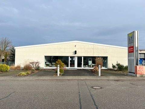 Linkenheim-Hochstetten Halle, Linkenheim-Hochstetten Hallenfläche