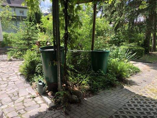 Blick vom Carport in den Garten