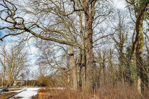 Umgebung Landschaftspark