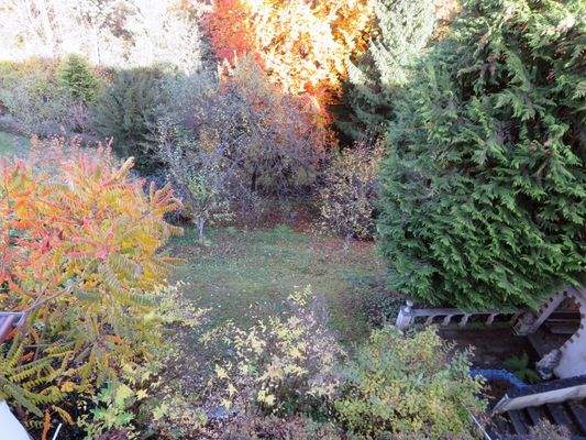 Blick von der Ostterrasse auf das Grundstück 