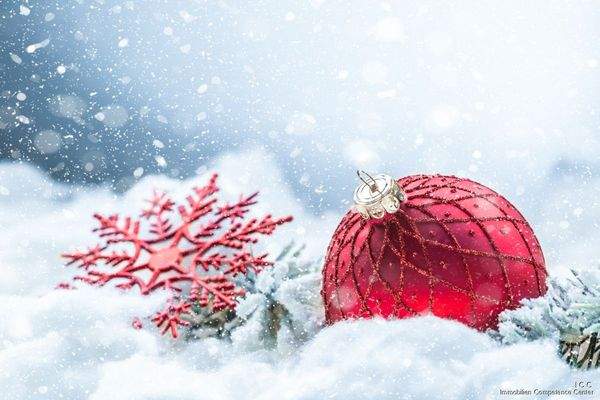 AdobeStock_307671857