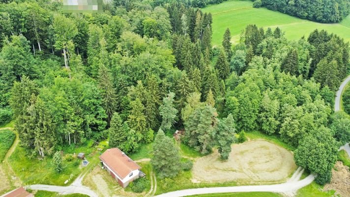 Luftbild Anwesen - Waldfläche