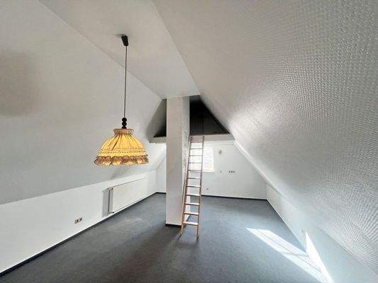 Dachspitz_Teilansicht