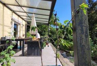 überdachte Terrasse mit Blick ins Grüne
